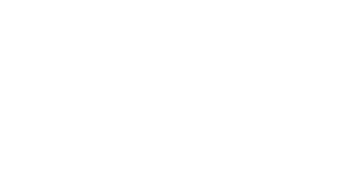 nelson-white-logo